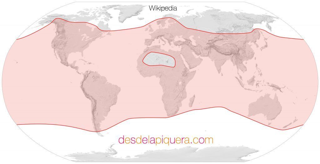 imagen donde se observa la distribución de la abeja de la miel en el mundo