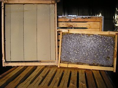 alza Layens con miel, ideal para hacer apicultura ecológica en colmenas Layens