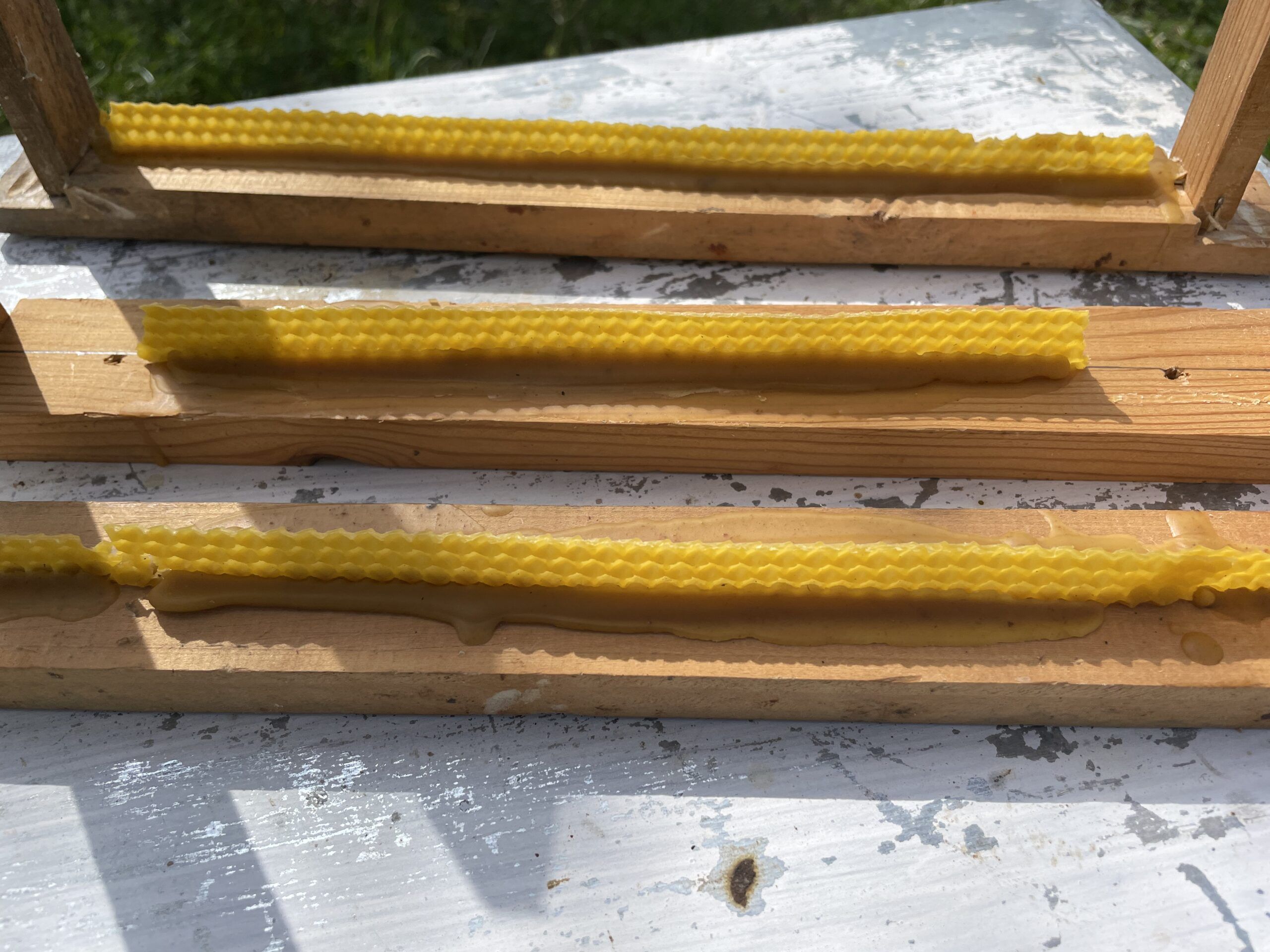 imagen de unos cuadros layen modificados y con tiras de cera iniciadoras para hacer apicultura sin cera estampada